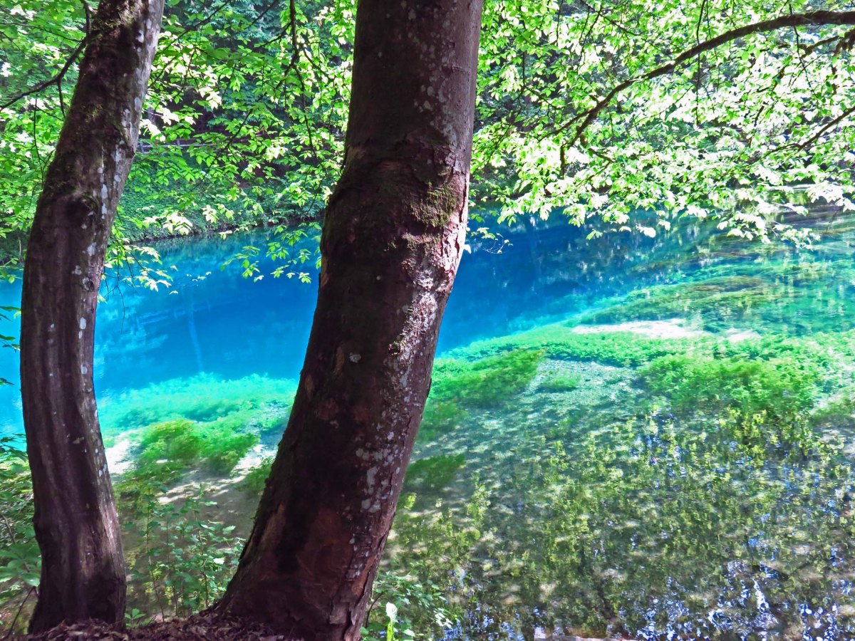 1. IMG_0795 copyBlaubeuren