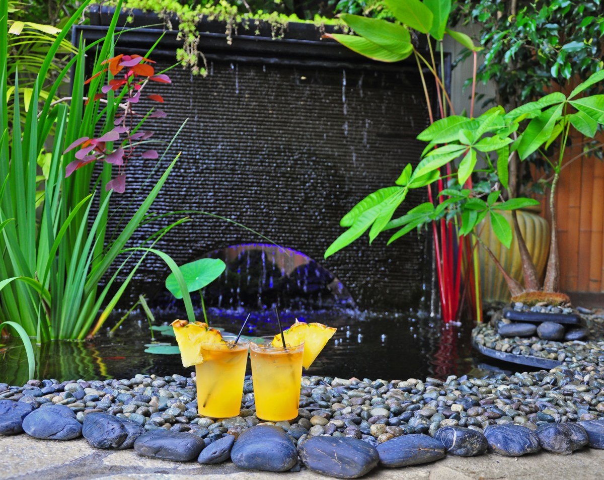 11. Hanalei mai tai party