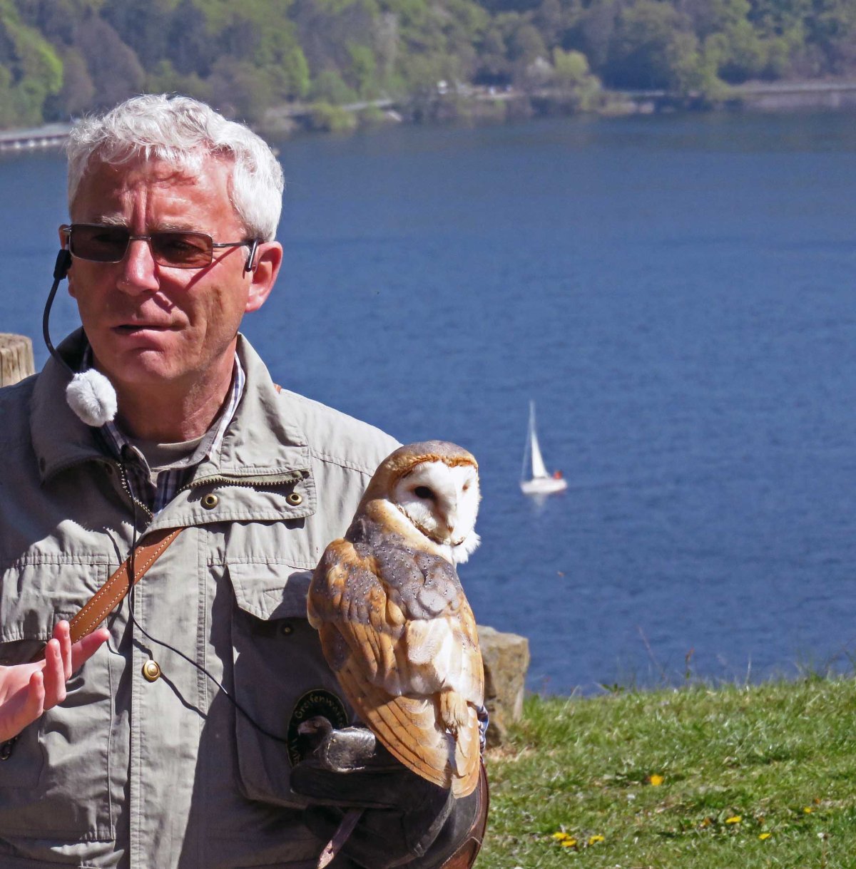 11. Wild bird trainer in the park