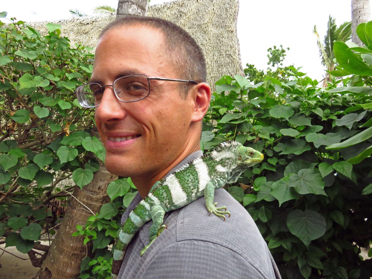 19. Likuliku inguana