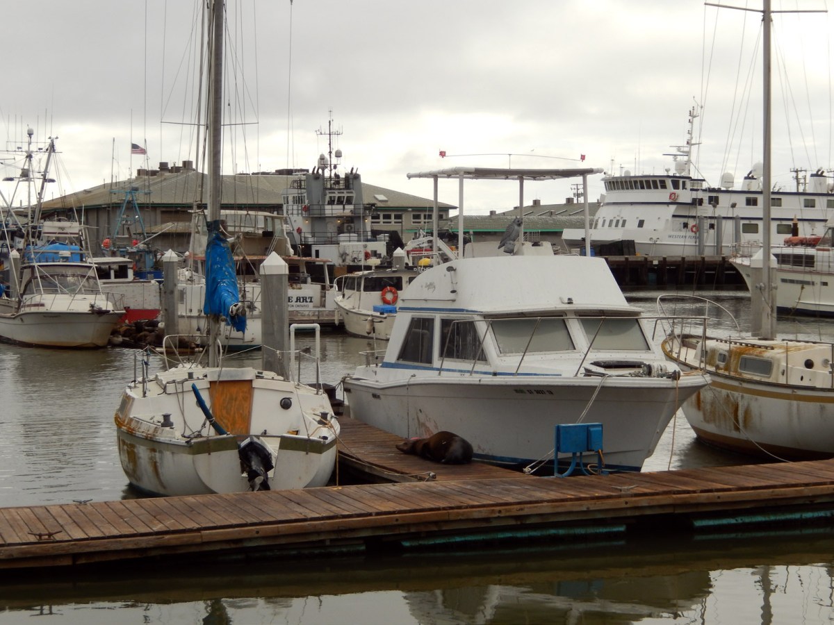 2 beside moss landing KOA