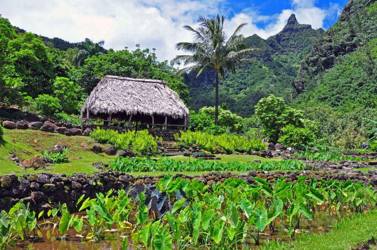 2. Limahuli Garden