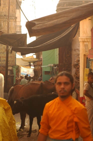 Backstreets of Varanasi