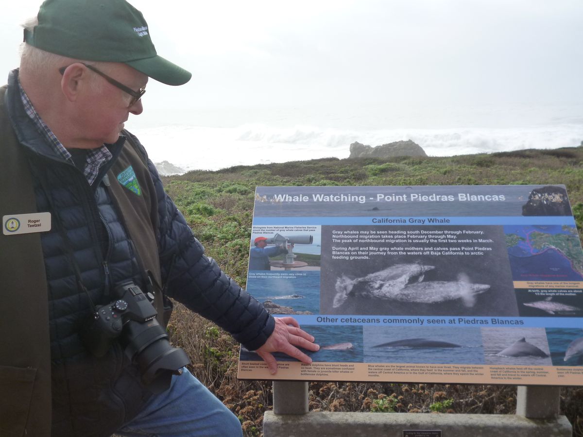 #3 Docent Sharing Whale Trail board