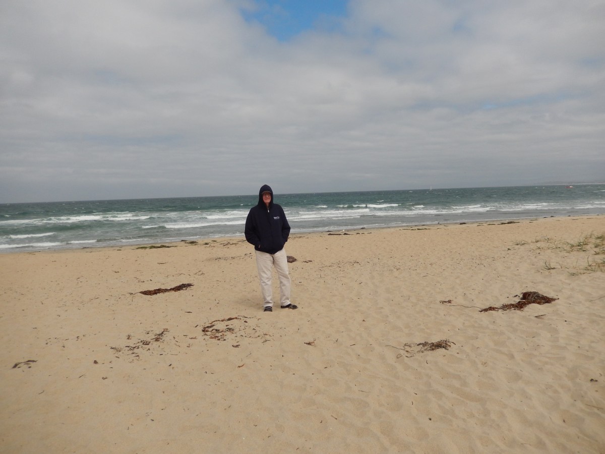 3 nearby beach moss landing koa