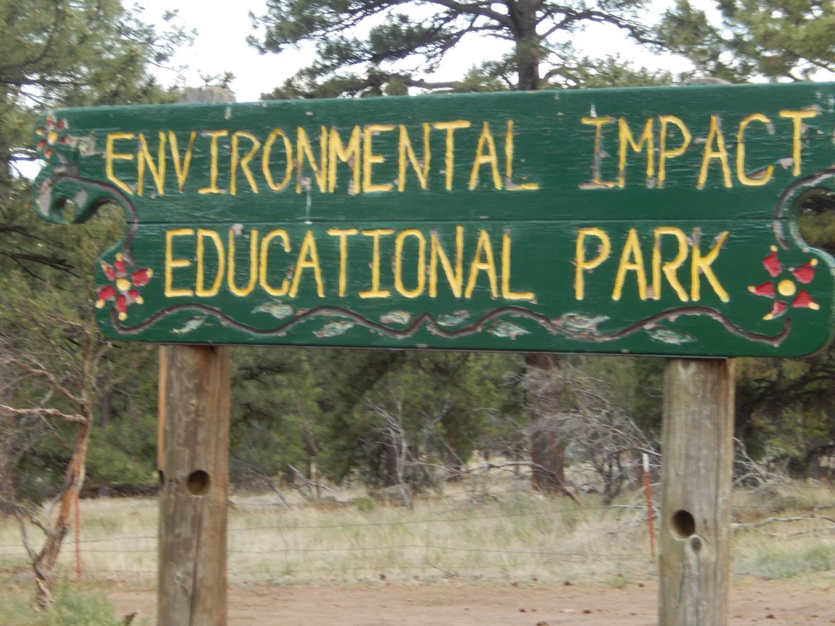 4   environment tips