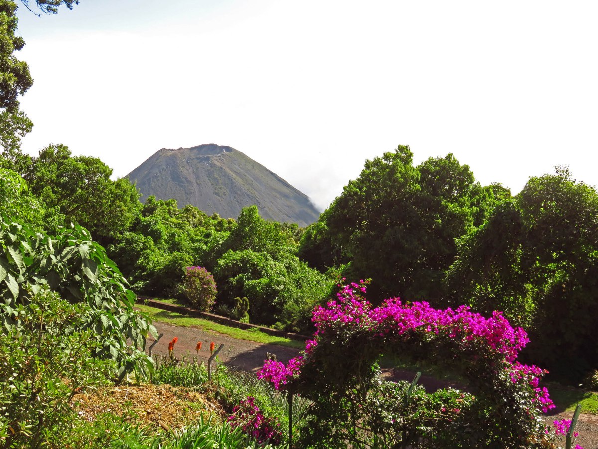 4. Izalco volcano