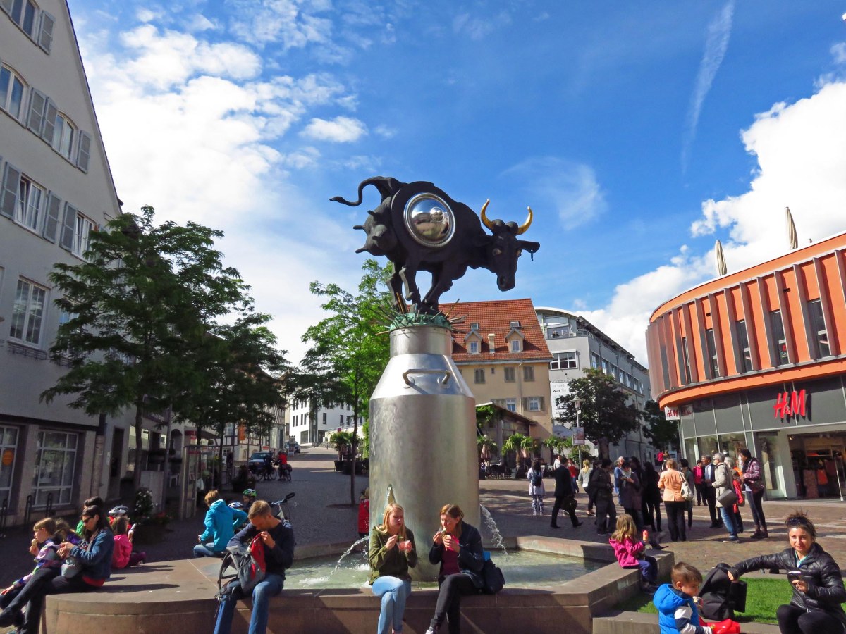 5. IMG_0430 copyBB