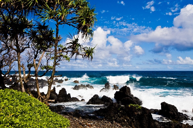 Wave breaking near a black sand beach