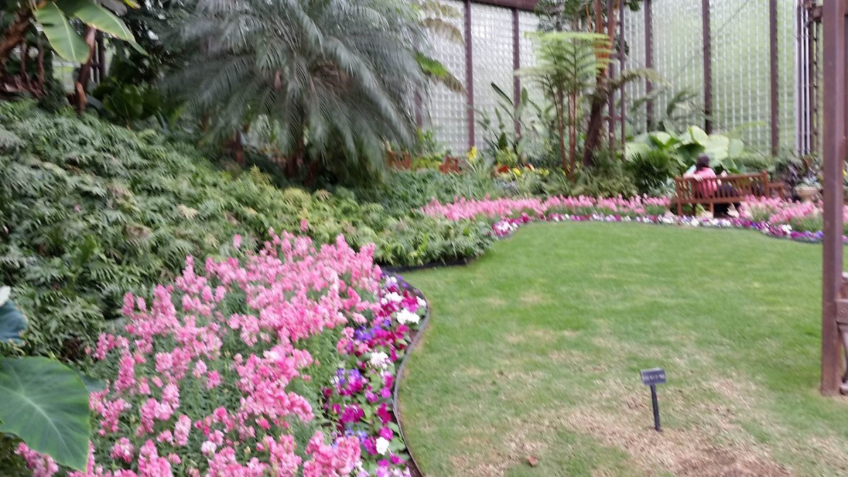 6  Horticulture Center