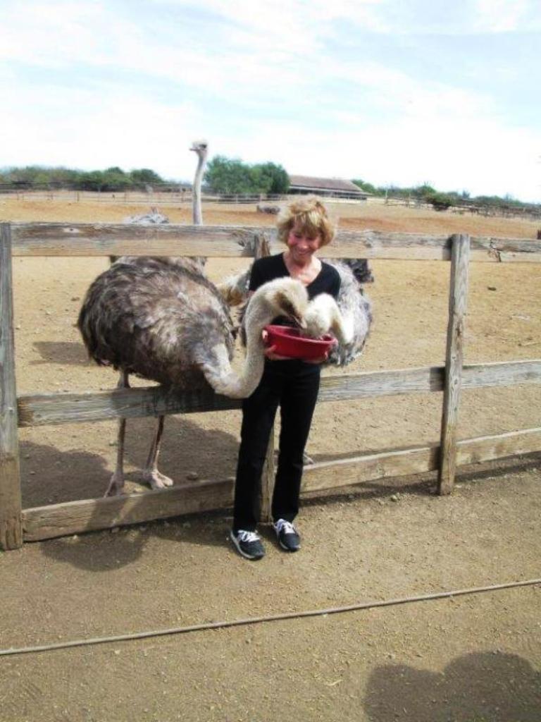 6. Hungry Ostriches