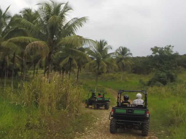 NUMBER 4 - DUNE BUGGY GOPR1102-RTA