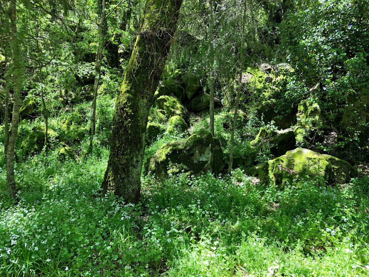Monte Sant'Antonio Park