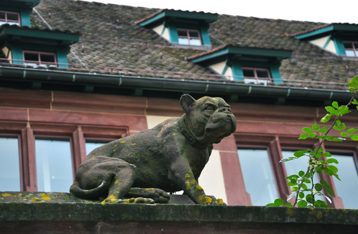 11. Basel dog
